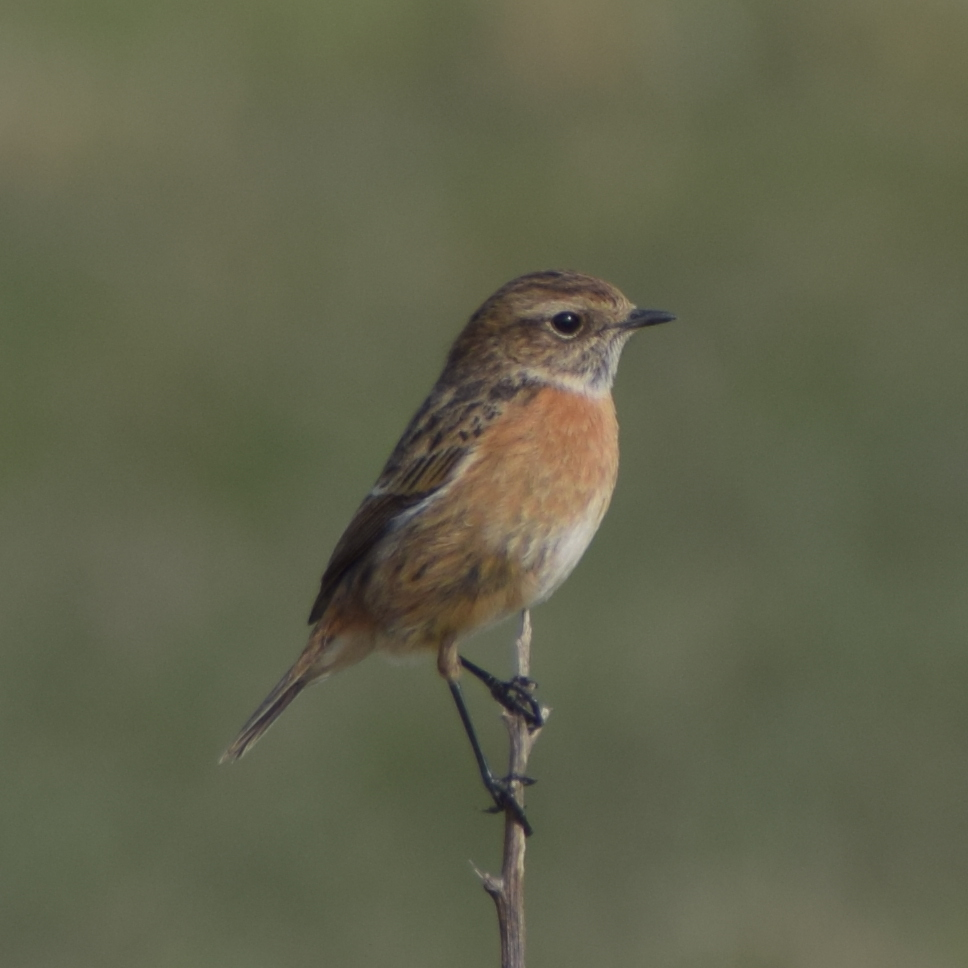 Favourite Nature Photography